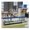 Best selling single bucket High speed Corn Coarse grain quantitative bagging scale