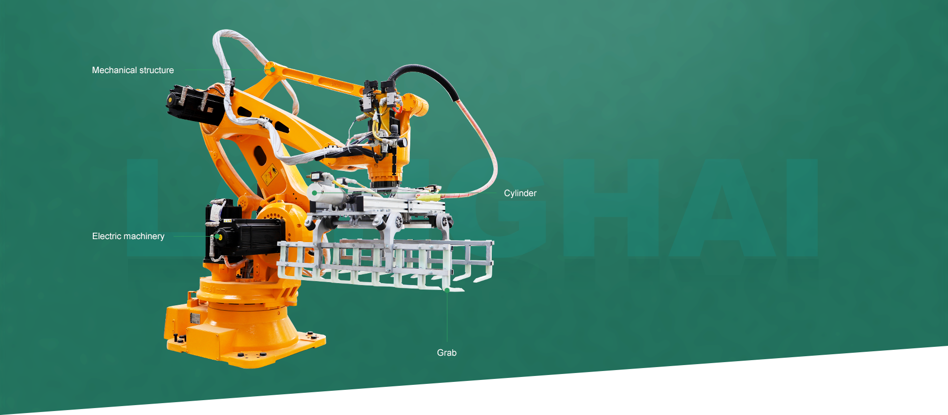 haibao2